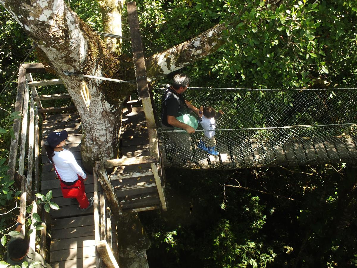 Hacienda Herrera Tambopata Puerto Maldonado Zewnętrze zdjęcie