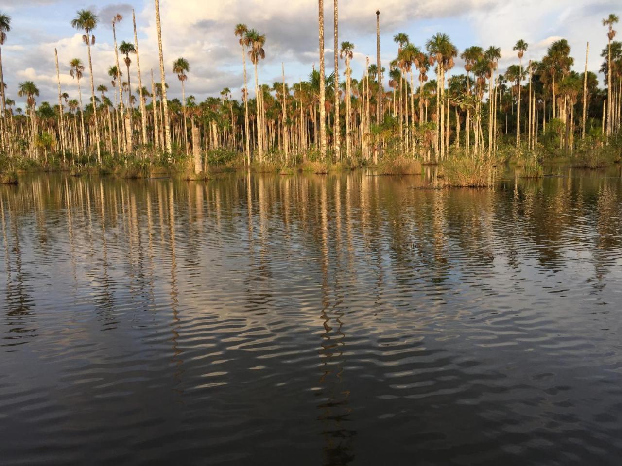 Hacienda Herrera Tambopata Puerto Maldonado Zewnętrze zdjęcie