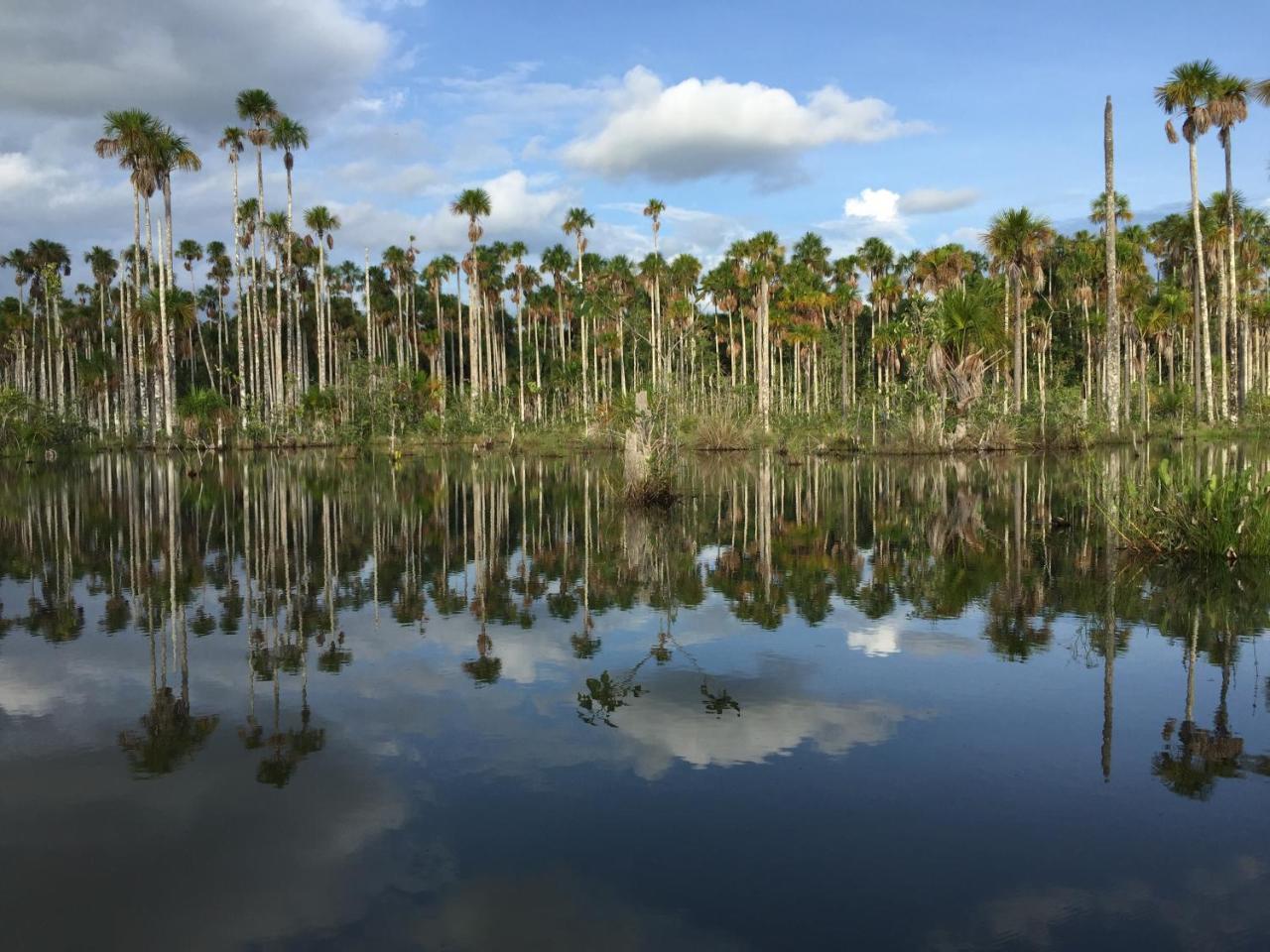 Hacienda Herrera Tambopata Puerto Maldonado Zewnętrze zdjęcie